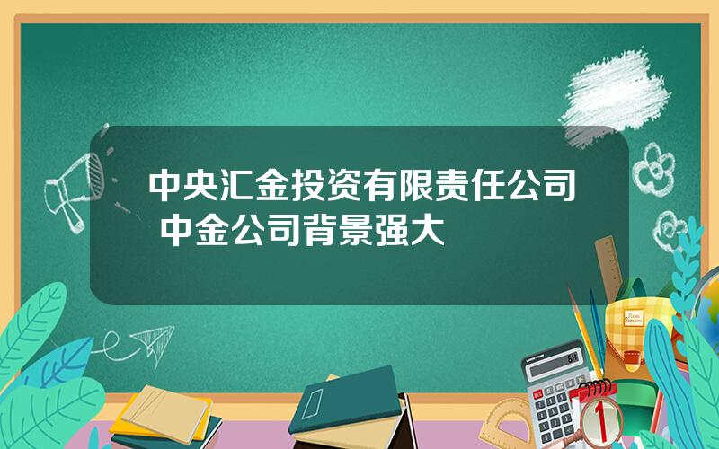 中央汇金投资有限责任公司 中金公司背景强大